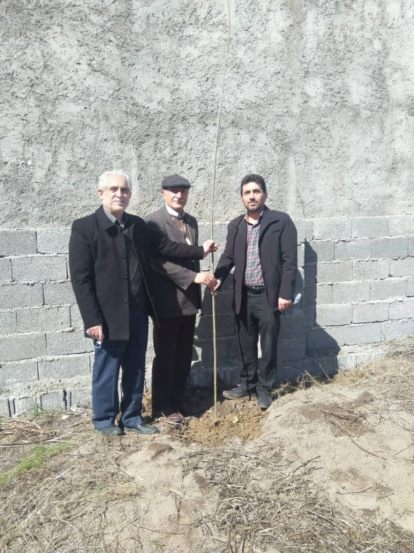 نکوداشت روز درختکاری